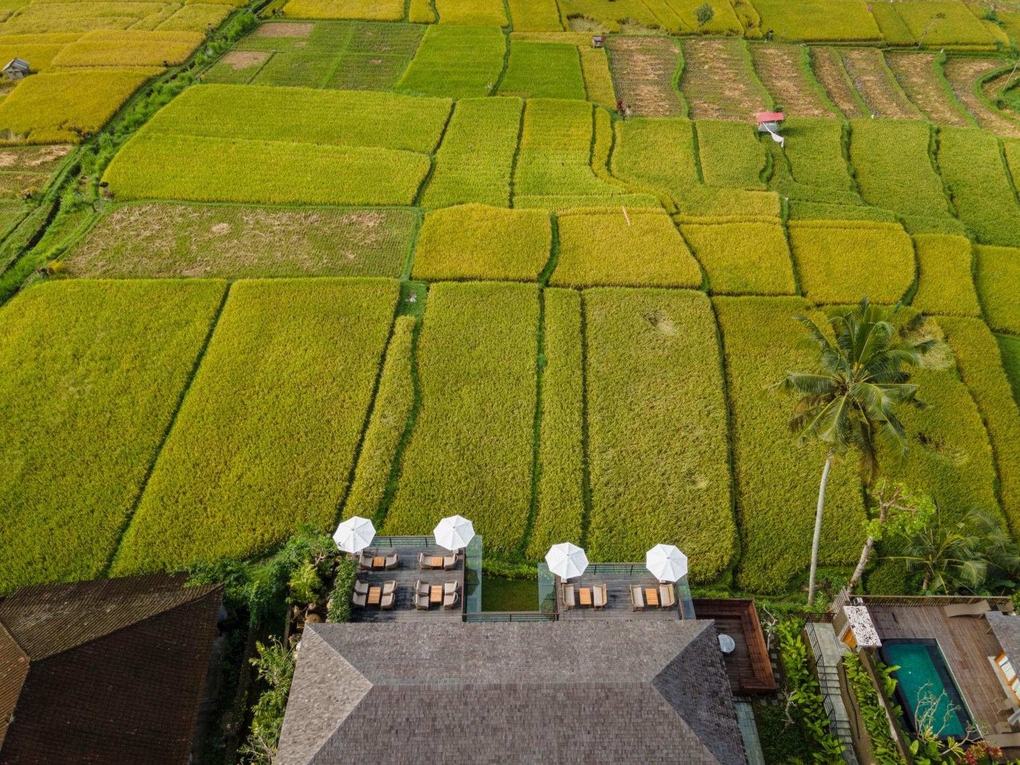 Kappa Senses Ubud Dış mekan fotoğraf